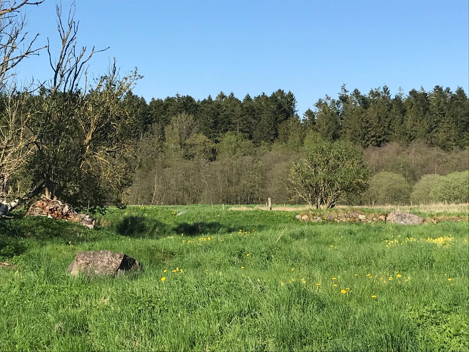Her lå Alling Kloster