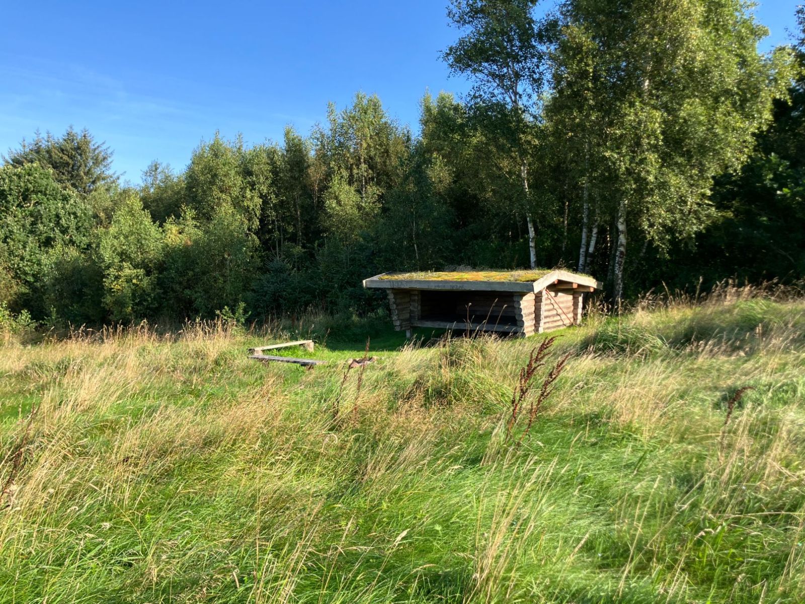 Mogenstrup Strand – miniature 2