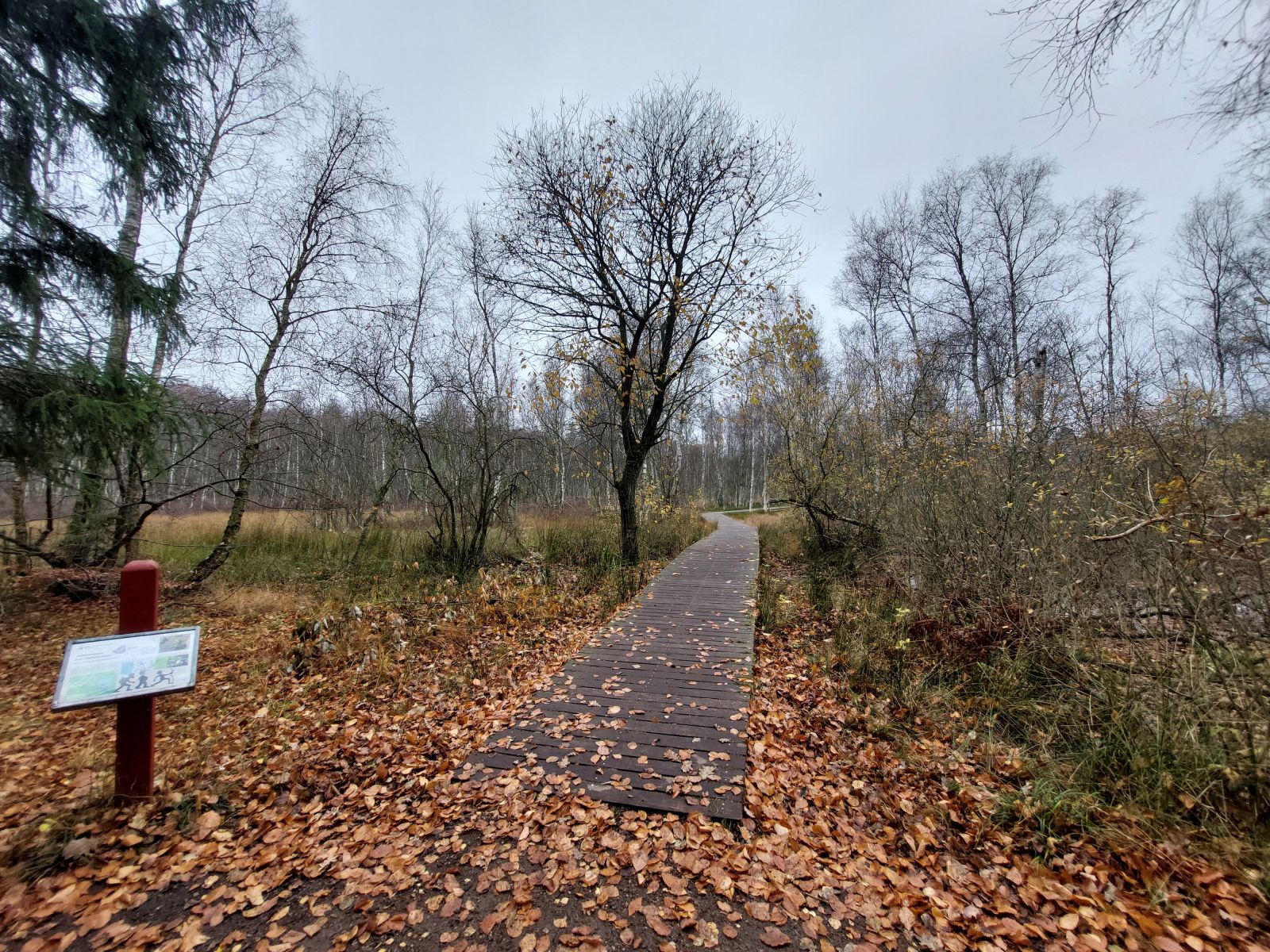 udsigt over Bøllemosen