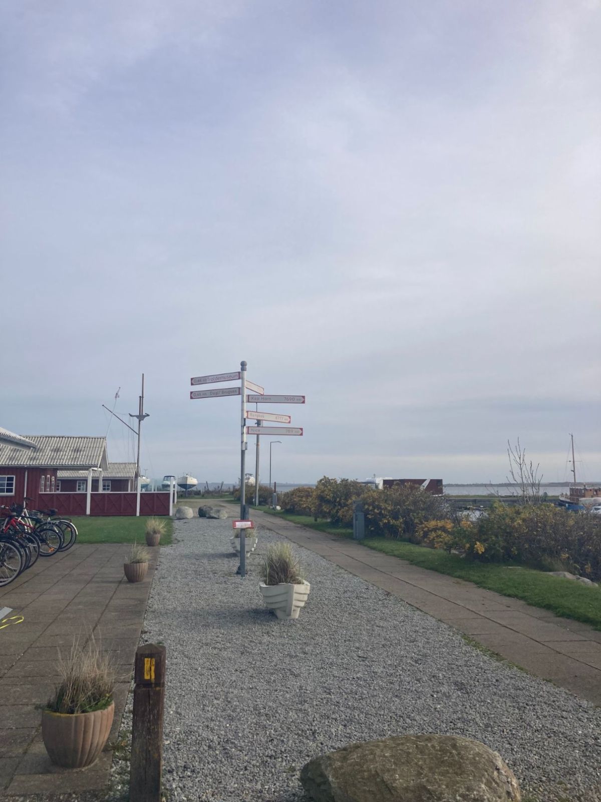 Vejviser