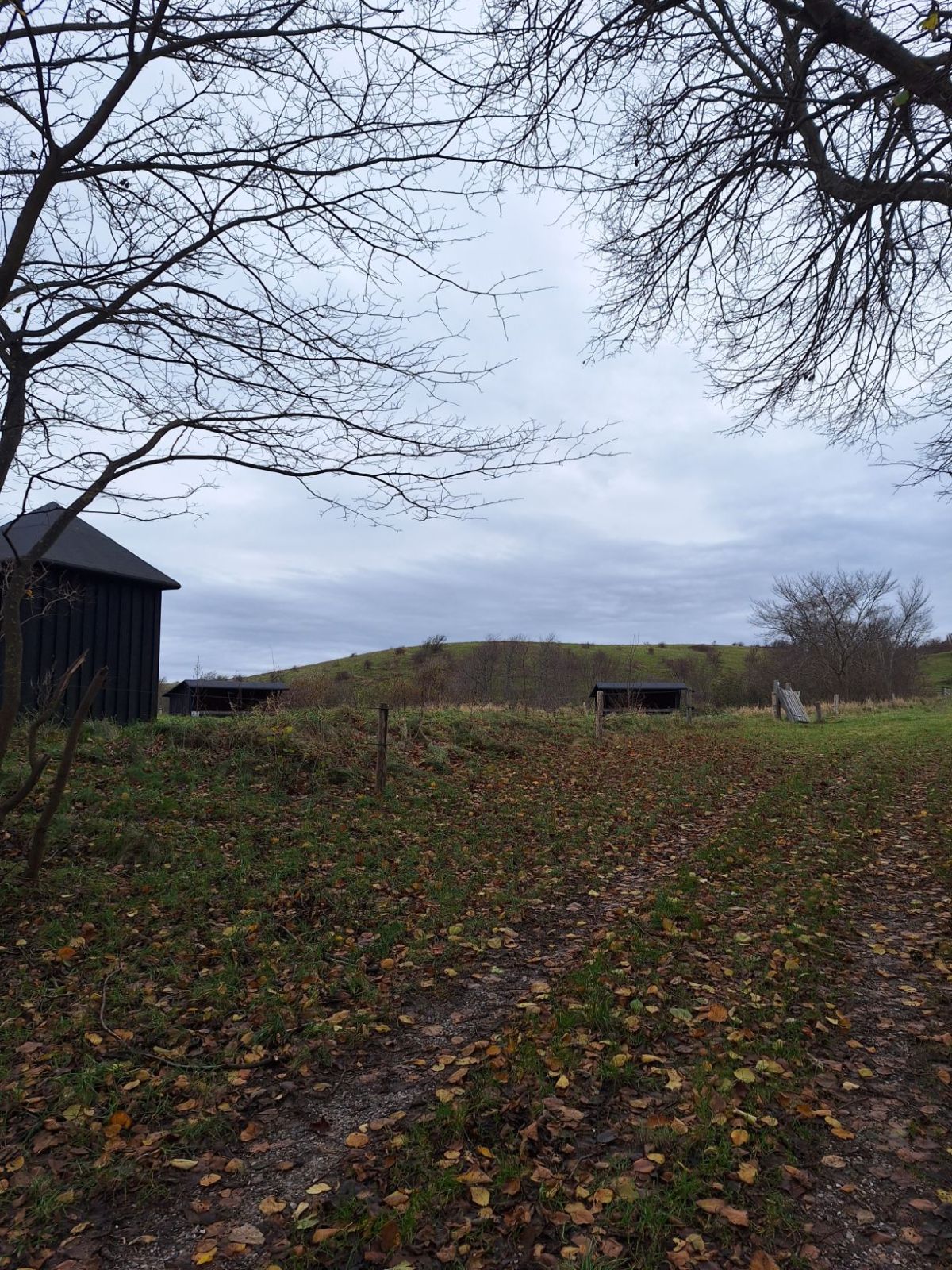 Slettervang - shelter nr. 2 – miniature 3