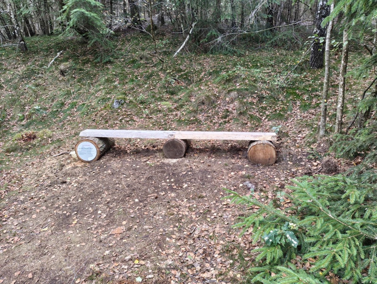 Bænk.