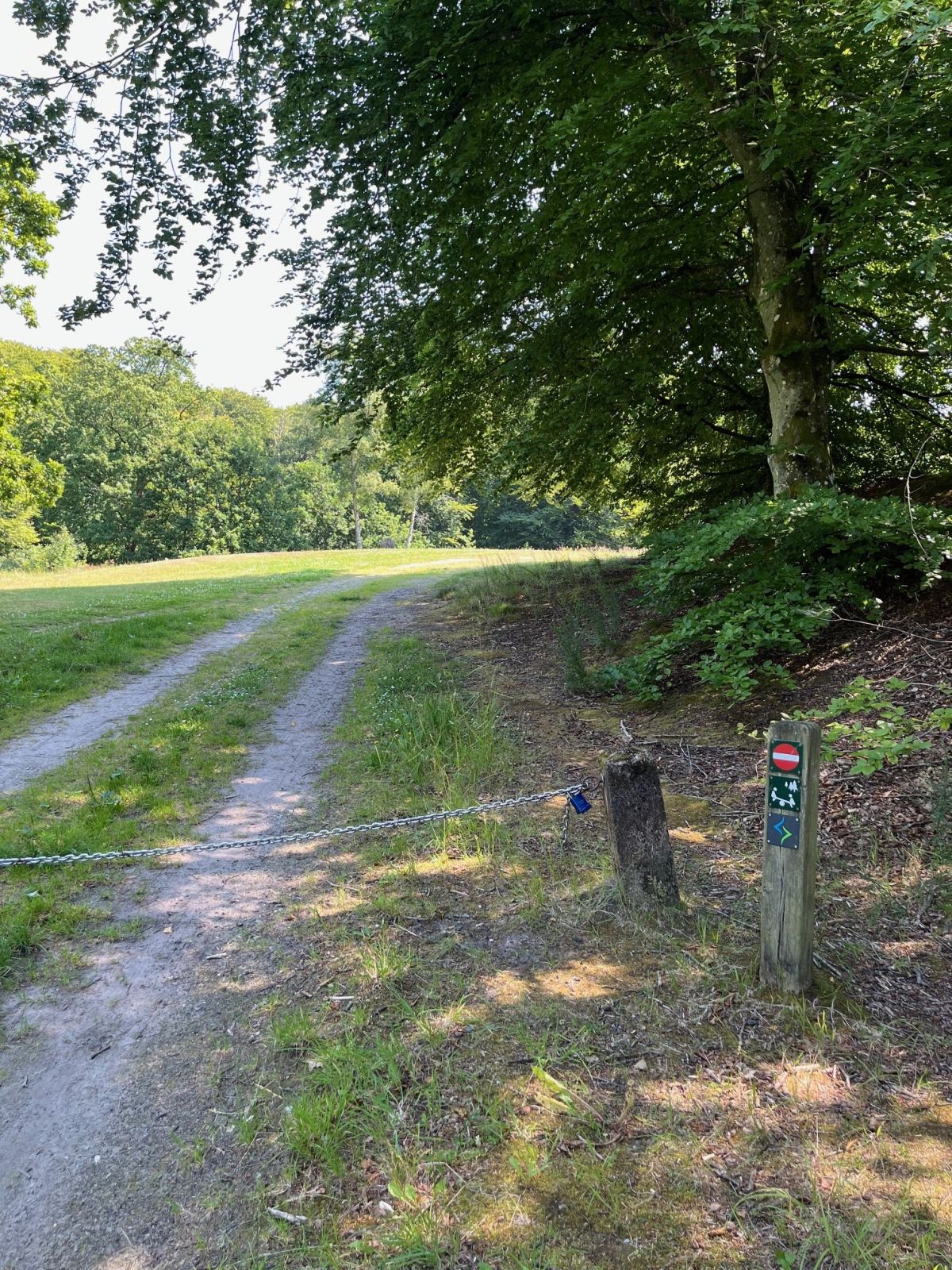 Ingen gennemkørsel. Følger Tolne Skov - Gul rute.