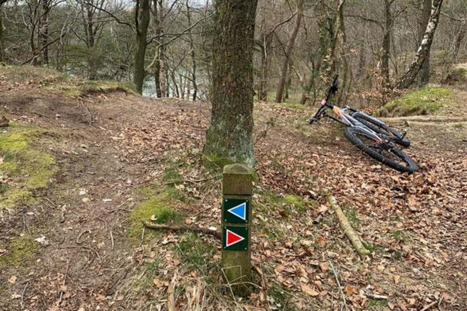 Sløjfesti til Vibæk mountainbike rute