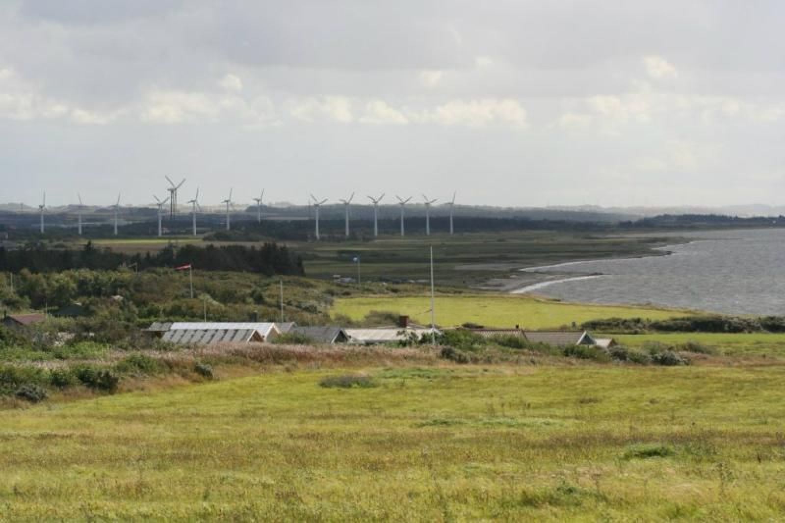 Foto af stranden ved Ejsingholm