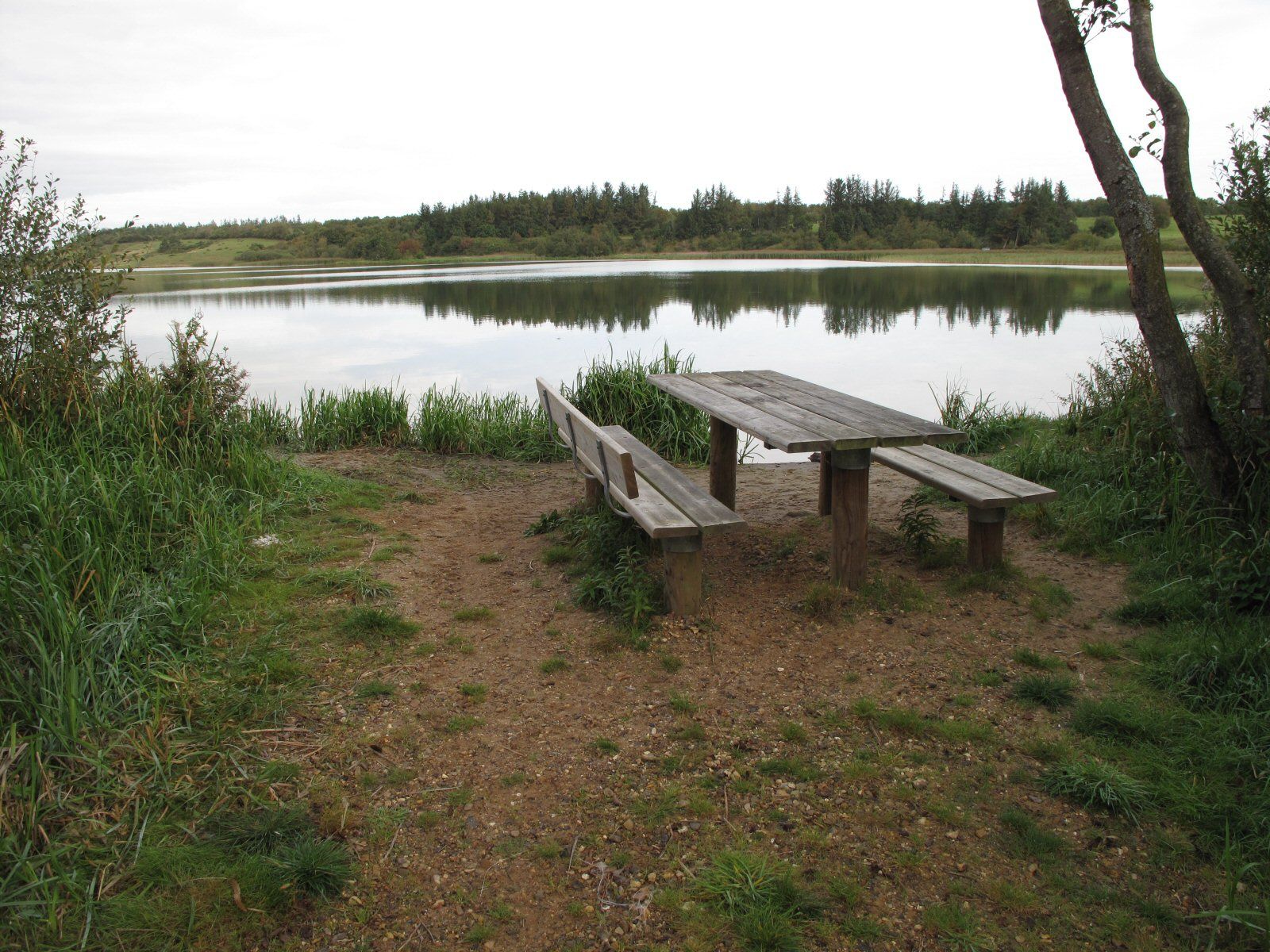 Bord/bænk ved Stubbergård Sø