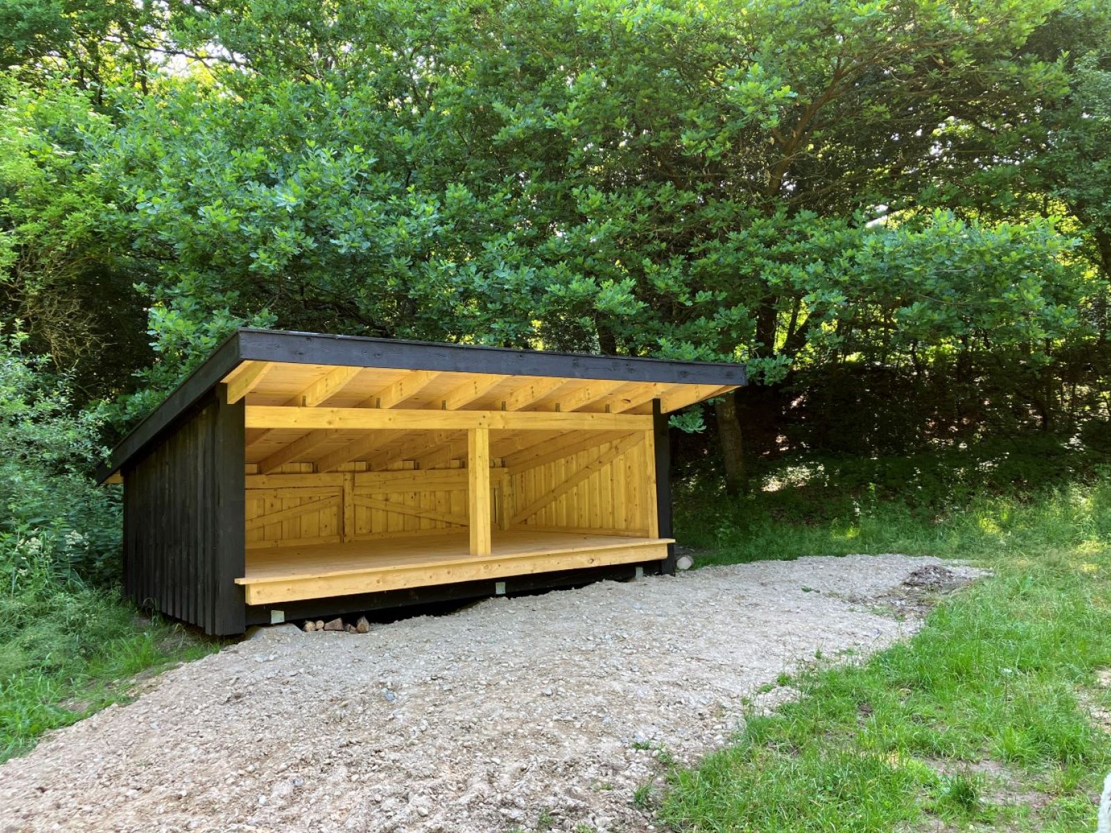 Shelter