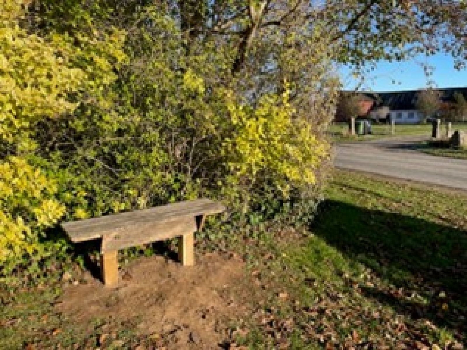 Bænk ved Bjerne Skole