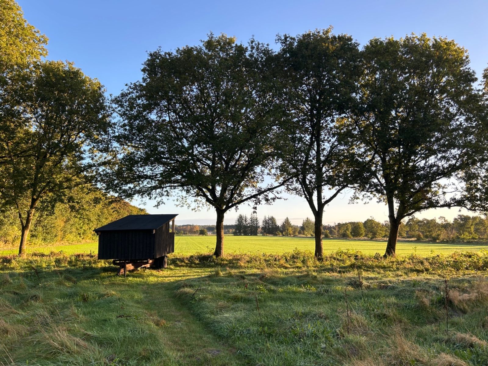 Vejs Ende Shelter – miniature 4