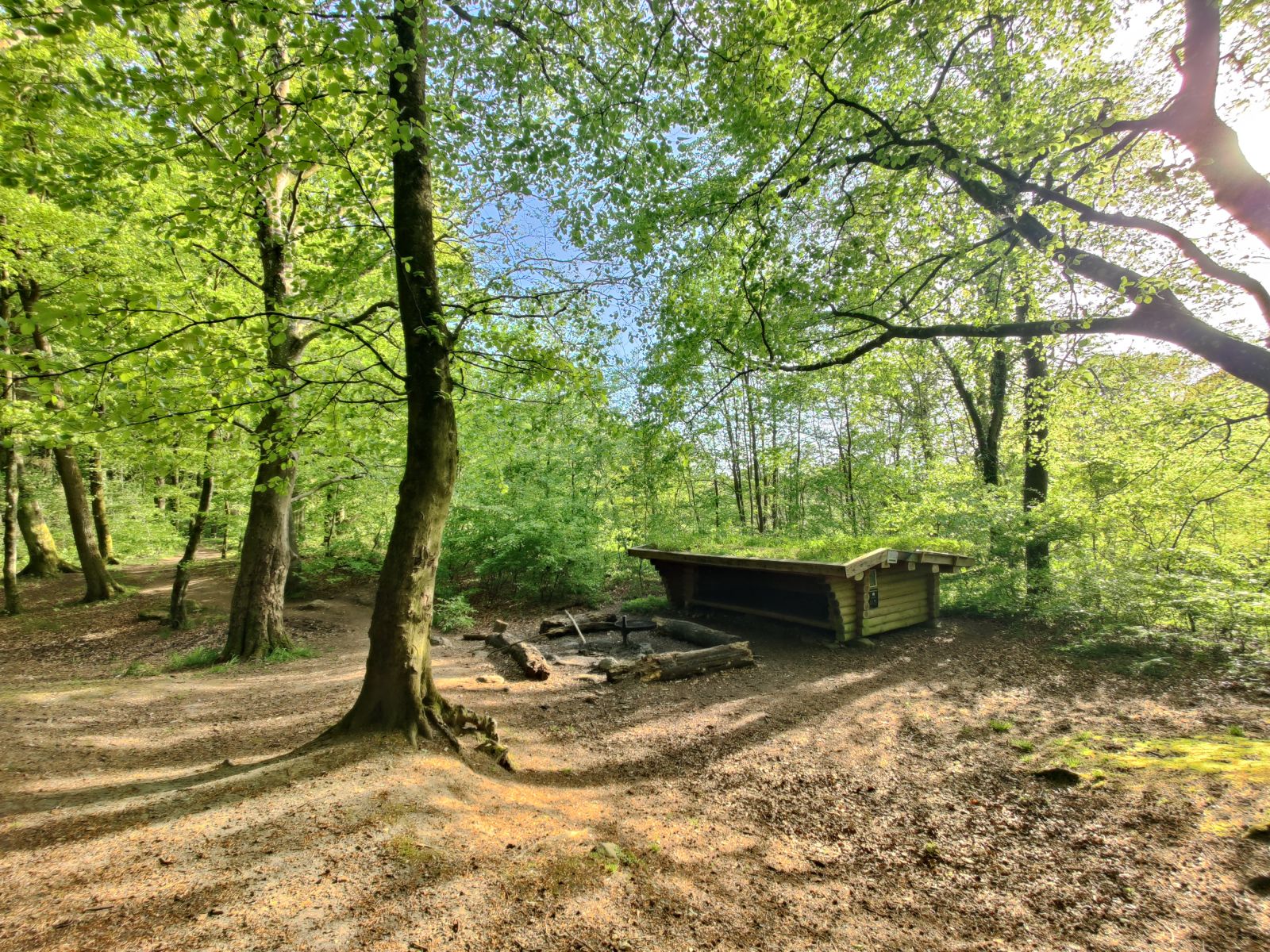 Lisbjerg gammel skov shelterplads