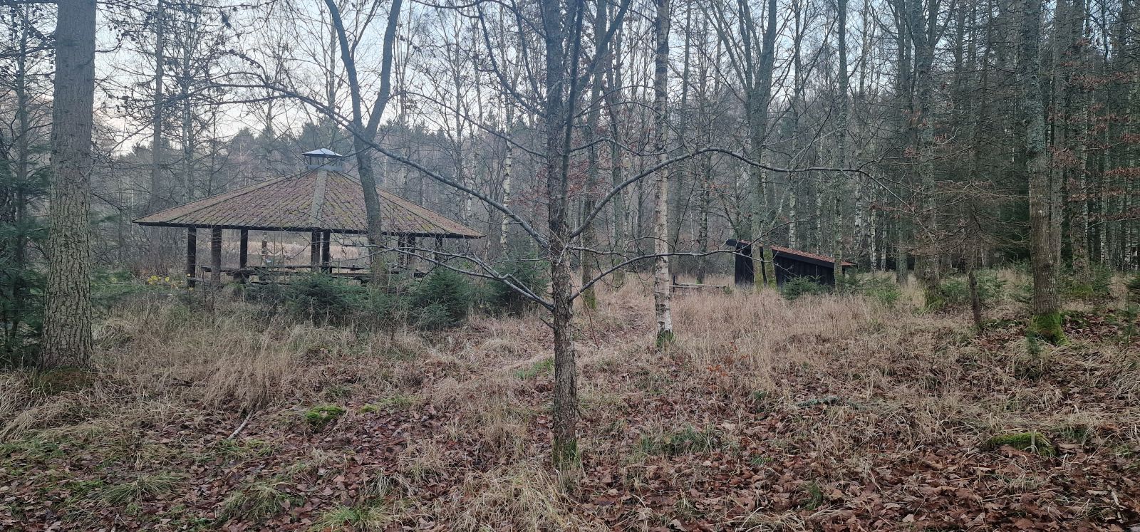 Billede af shelter Natuglen shelter – billede 3