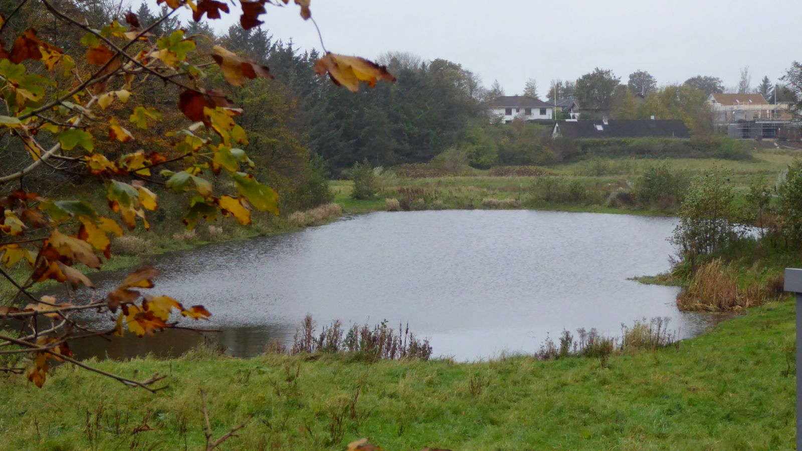 Regnvandssø.