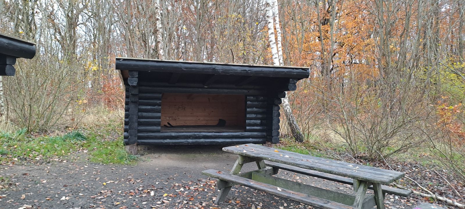 Shelter, Dagløkke Skov – miniature 2
