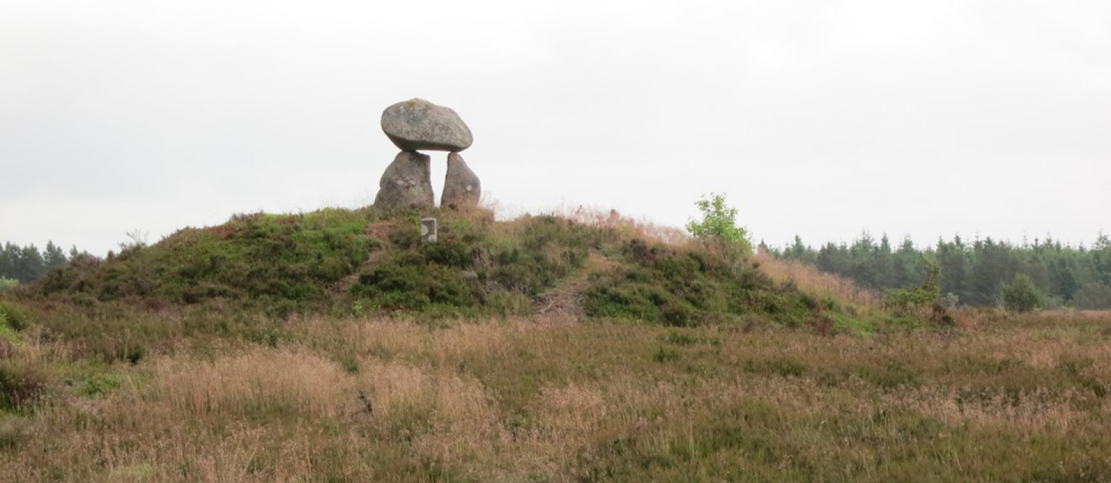 stendysse