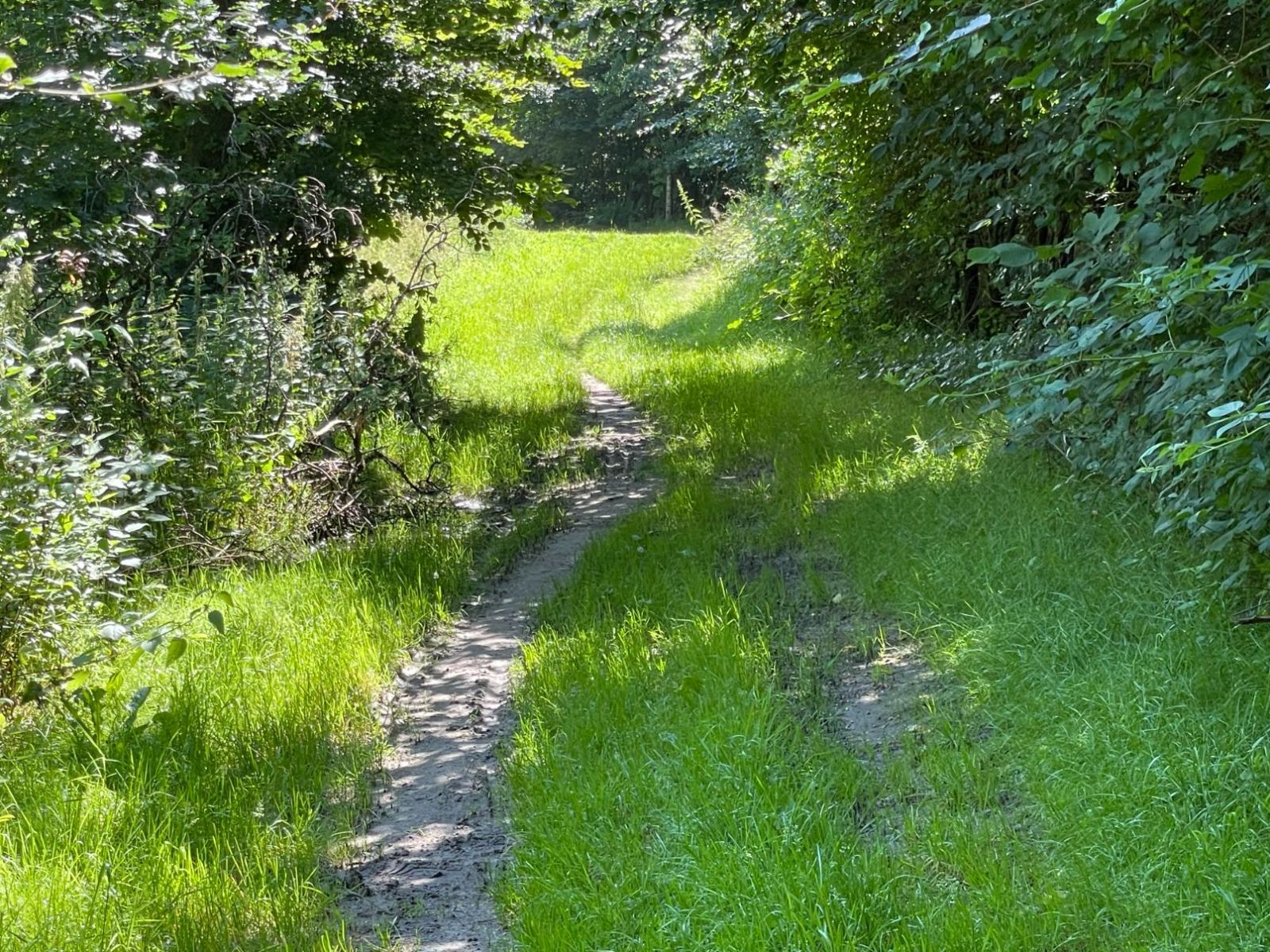 Bornlundvej