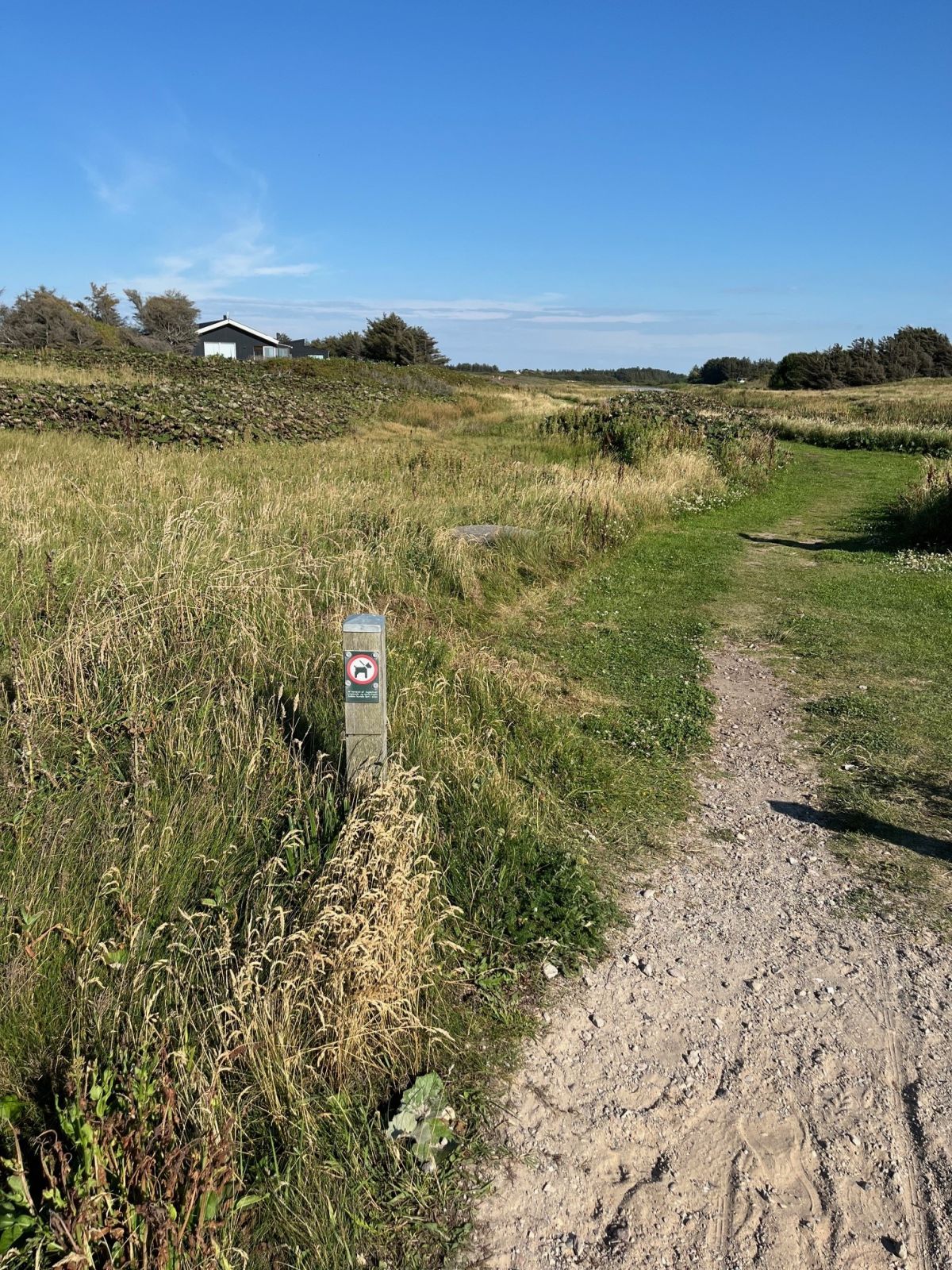 Piktogram "hold hunden i snor" pga. fugleliv.  
