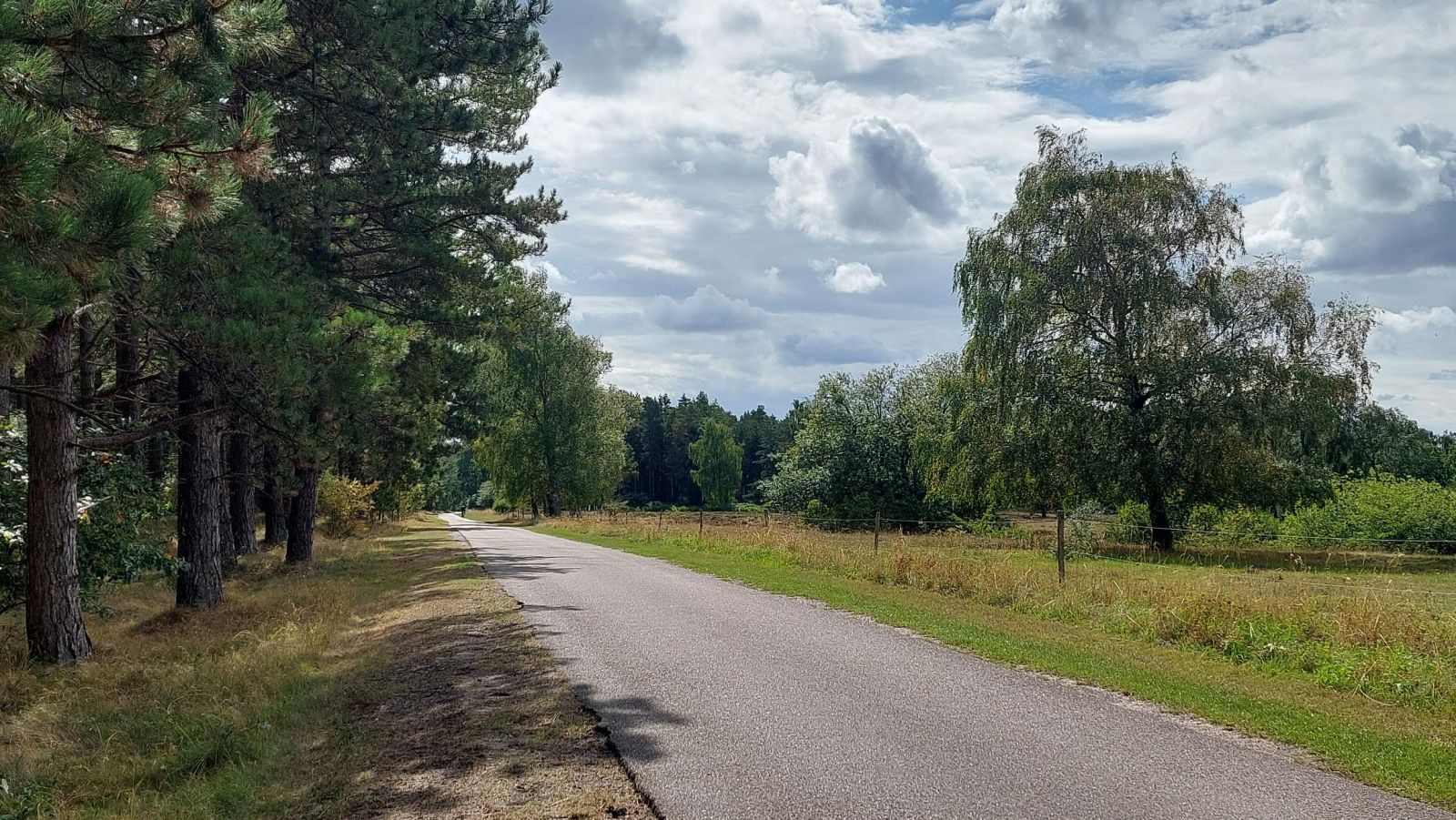 Feddet_2026