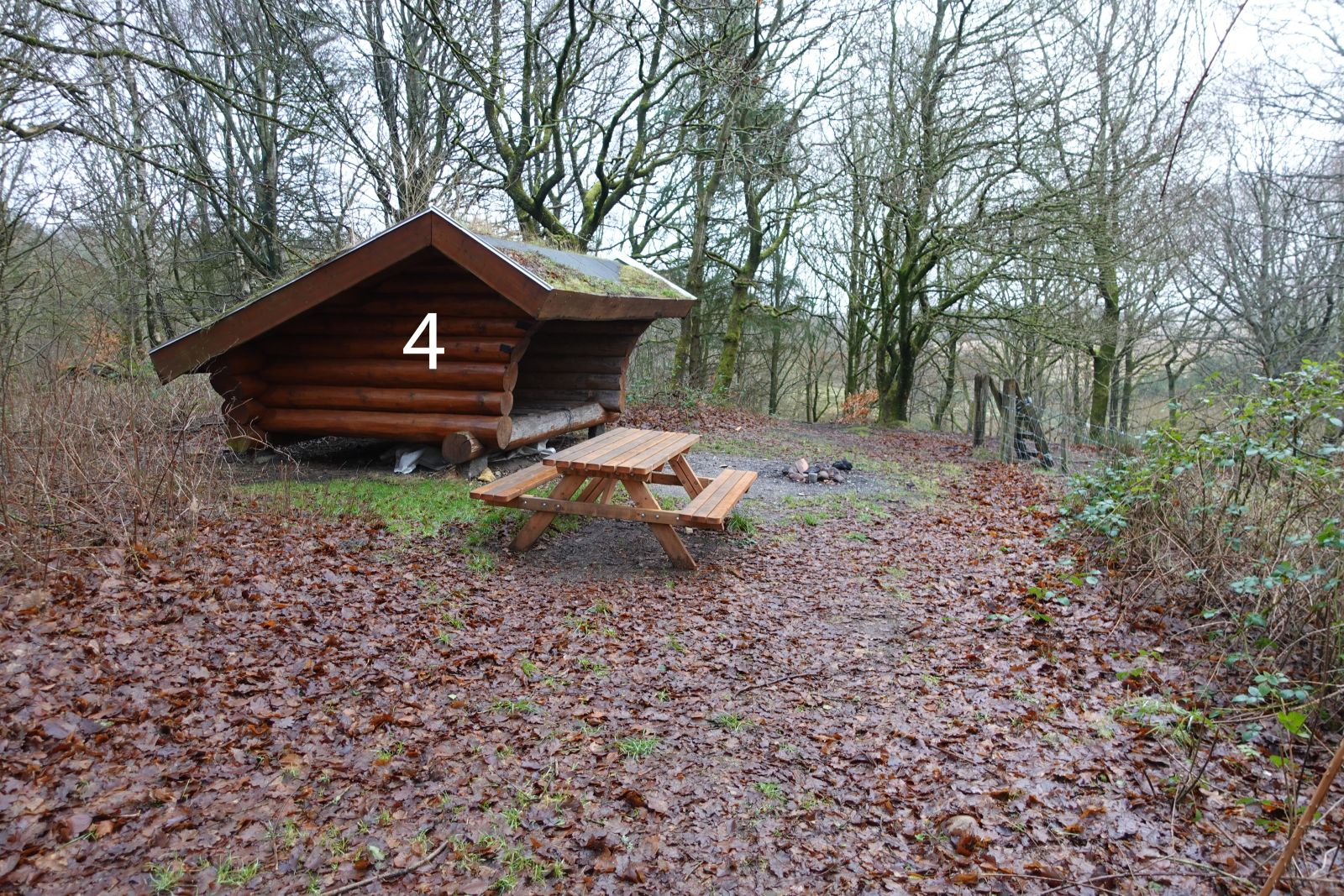 Foto af shelter 4 ved Skovlund Shelterplads