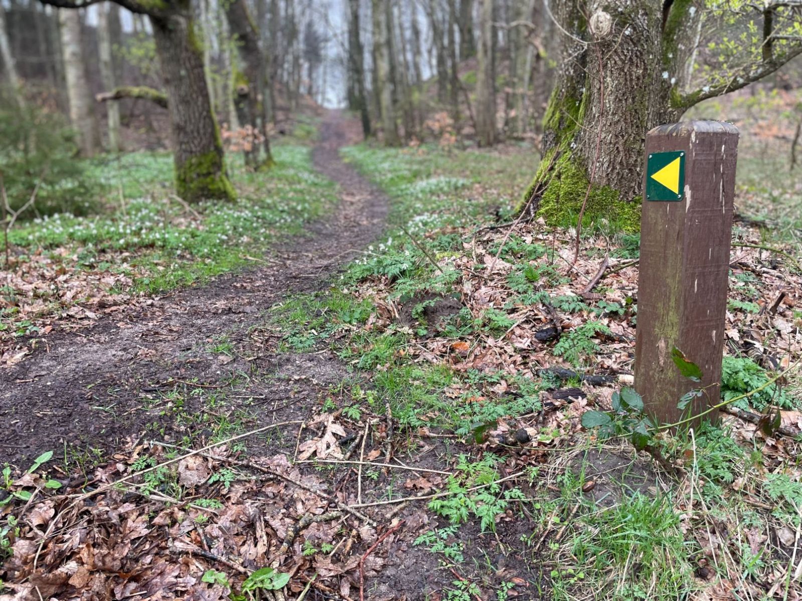 Sporet om Jeksen Bæk og Bjertrupskov