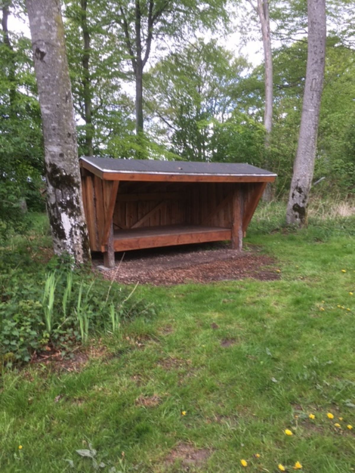 Bække Anlæg – miniature 1