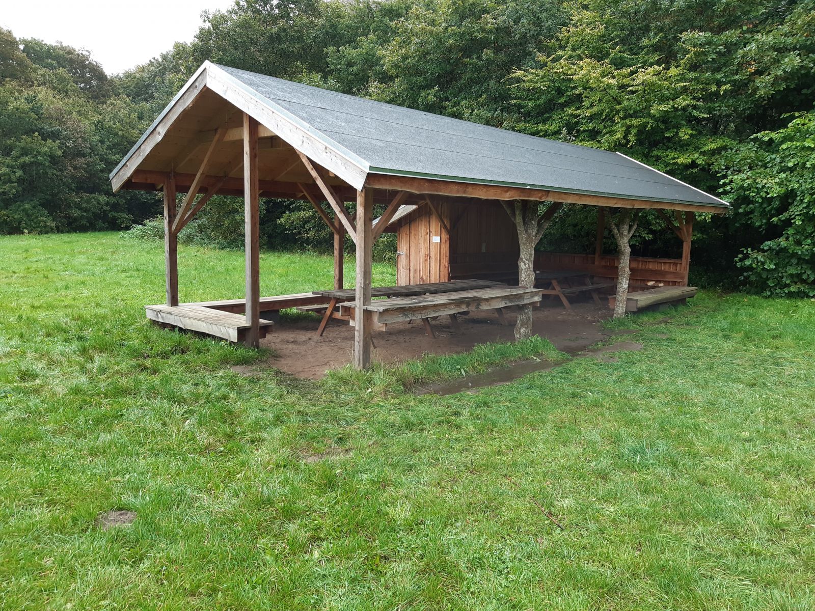 Shelterpladsen ved Hald                               – miniature 3