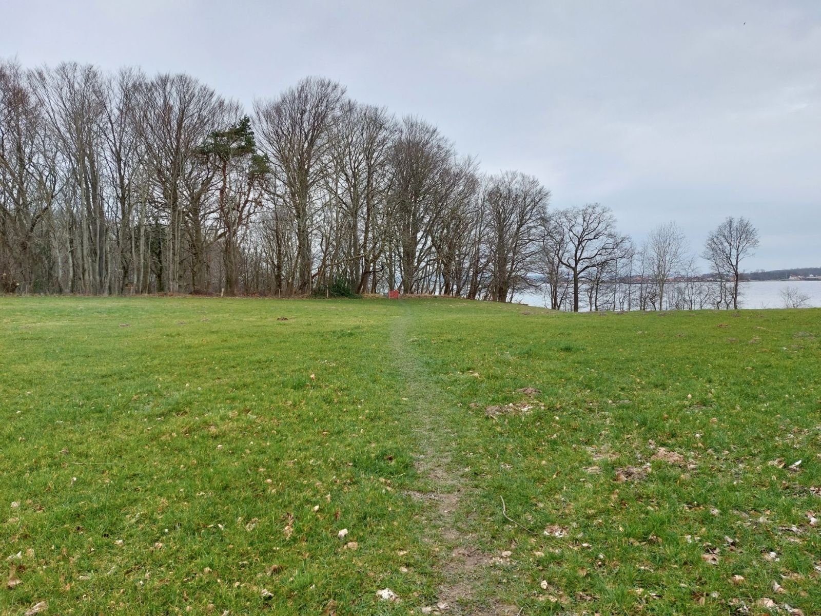 sti over græsmark