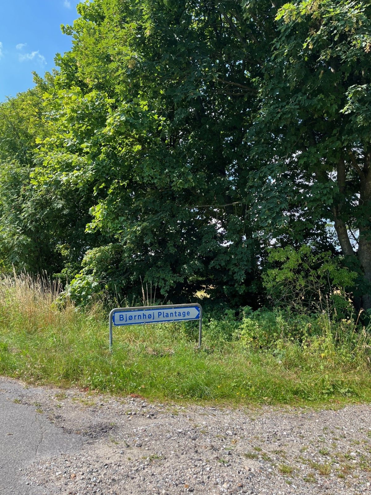 Følg skiltning for Bjørnehøj Plantage.