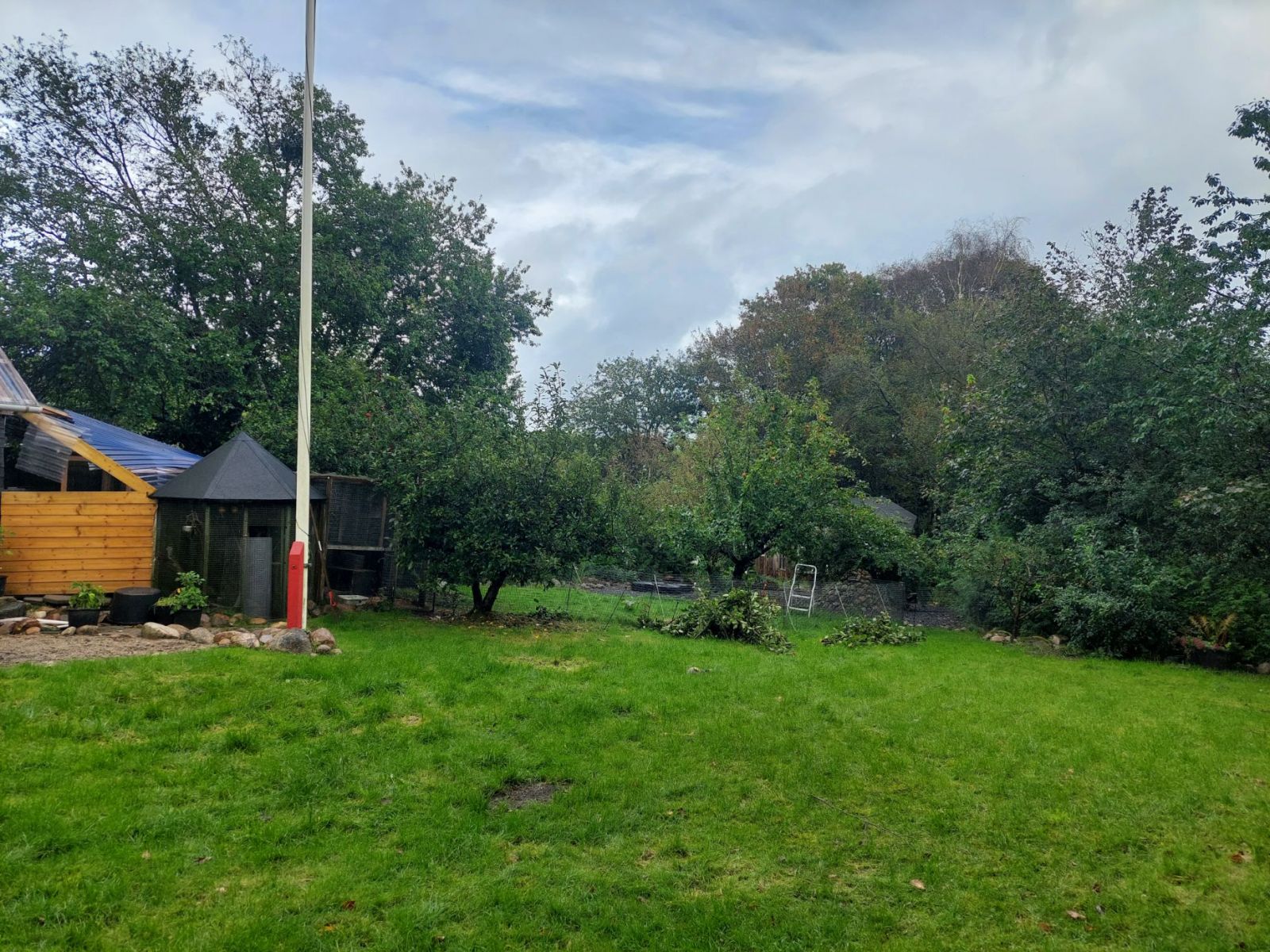 Hankelbjergs shelter og bålhytte – miniature 7