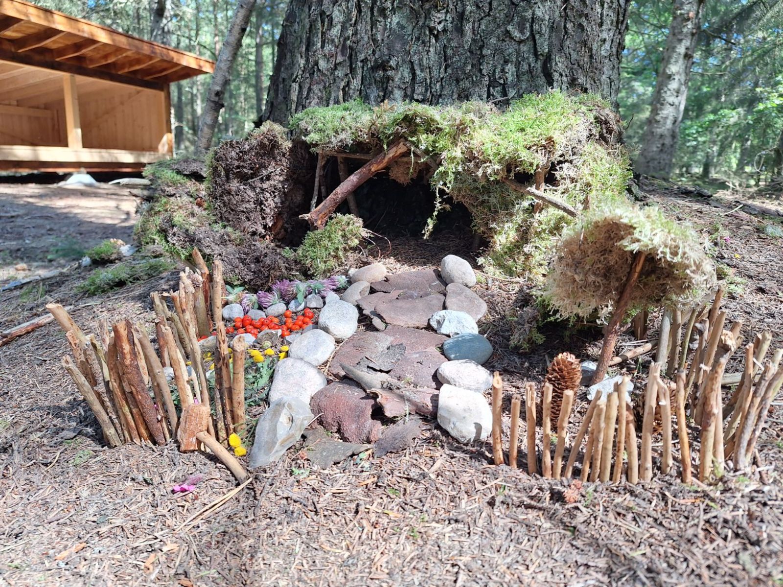 Shelterplads ved Spidsbjergvej - shelter 2 – miniature 2