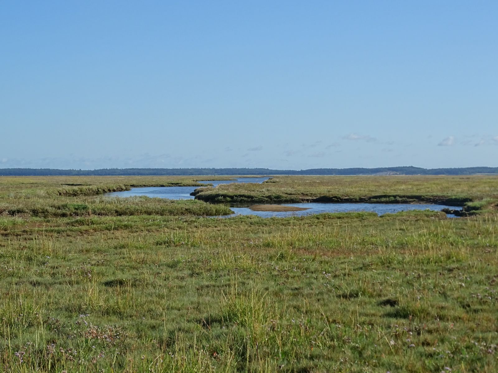 Stille flyder lo'en