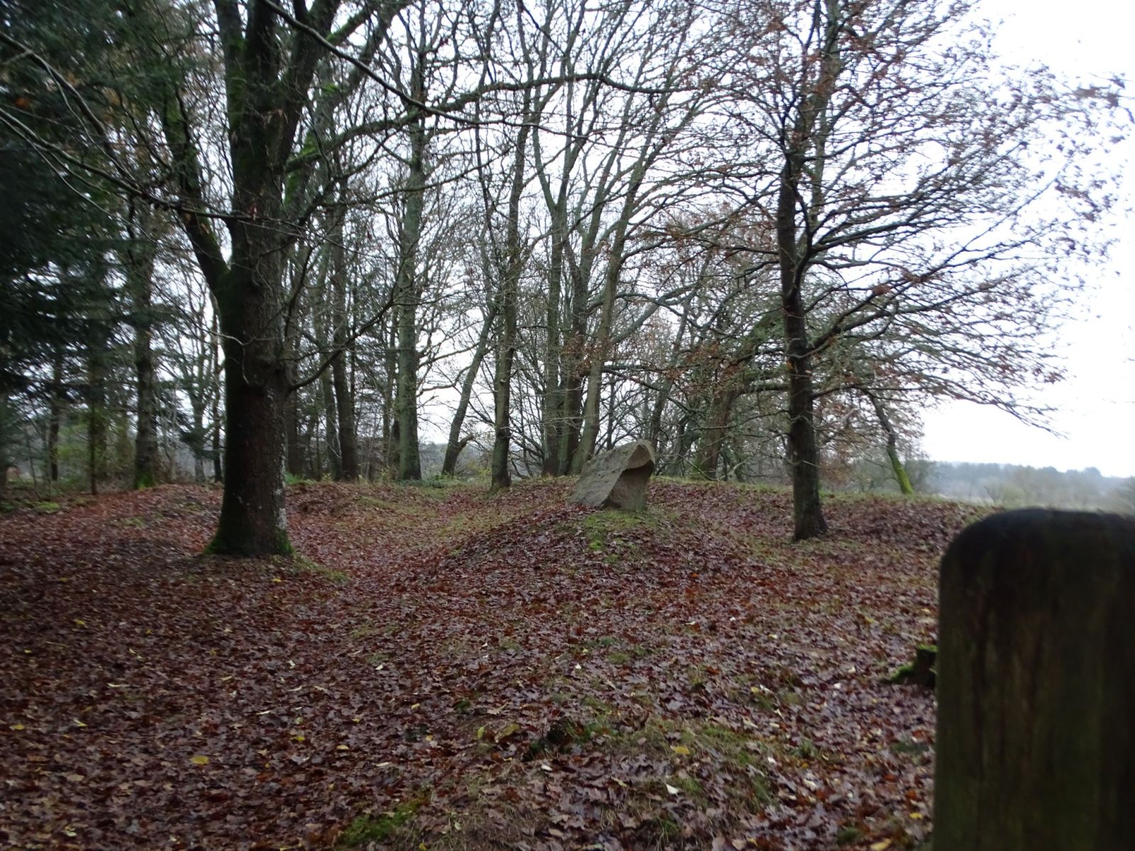 Trædestenen v. Sig Kapelbanke, shelter 1 – miniature 1