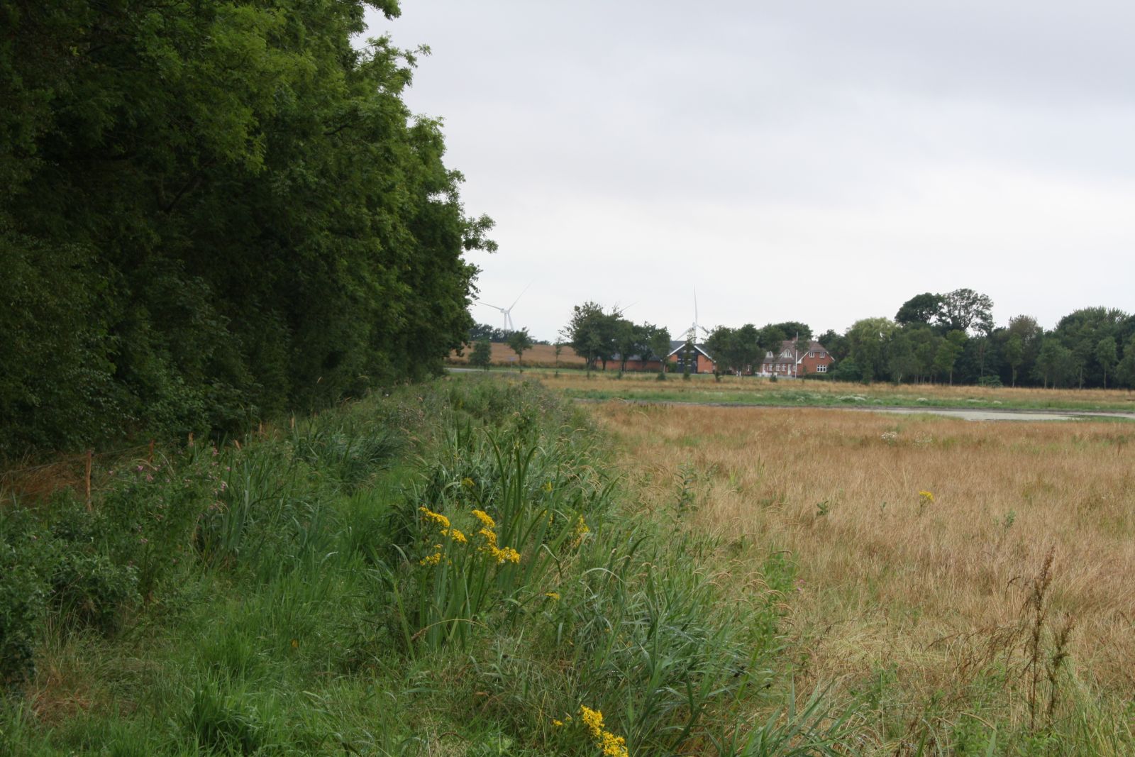 Benkær ruten som er en vådområde