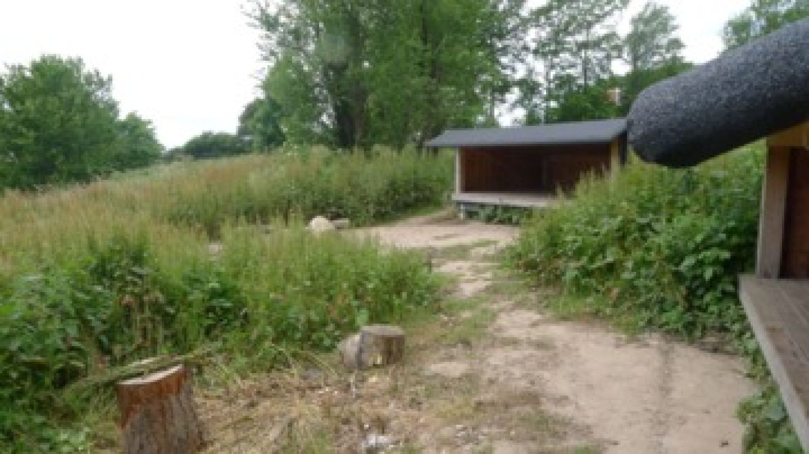 Shelterpladsen set fra shelter 1 mod shelter 3 .