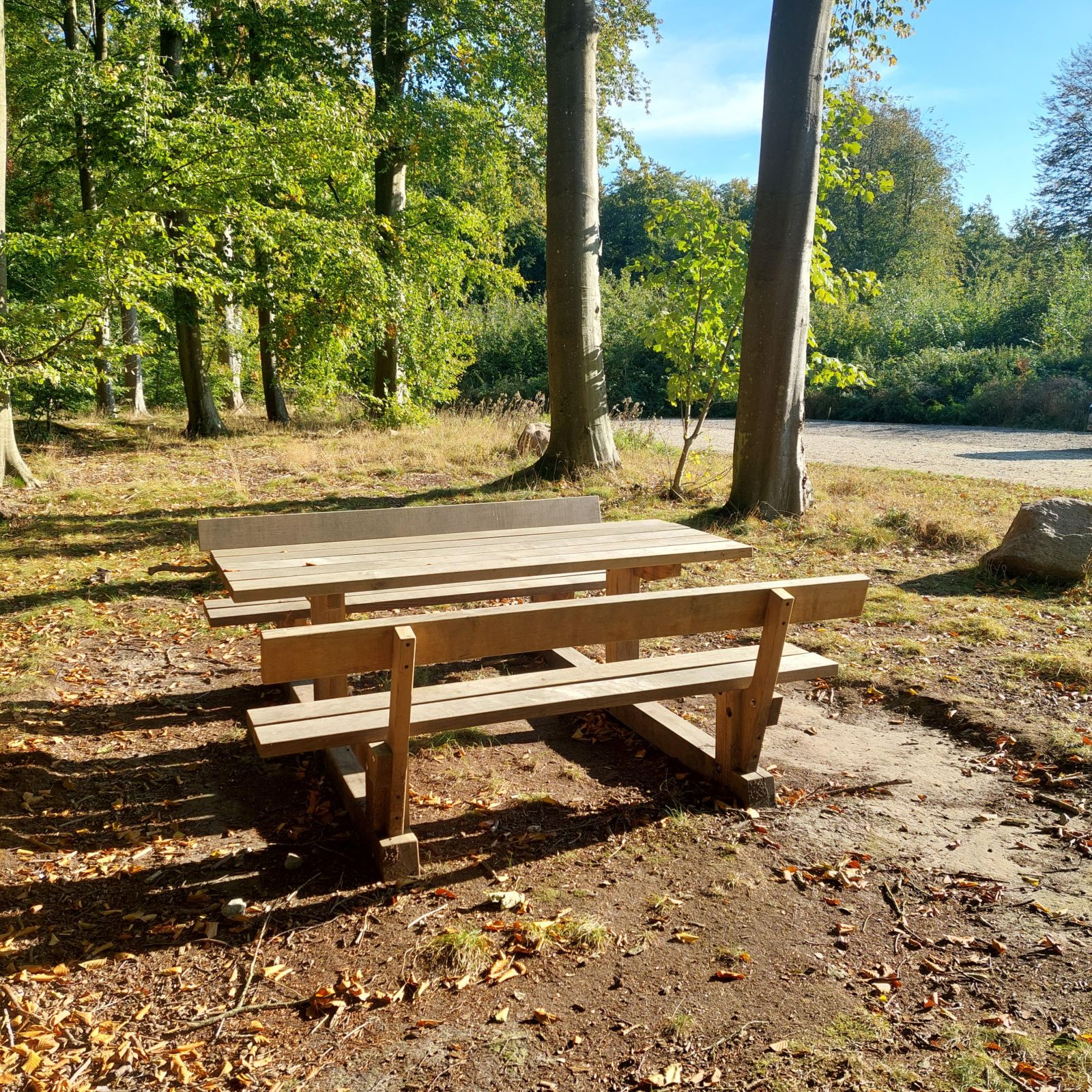 Parkeringsplads med grusbelægning og bord bænksæt i skoven