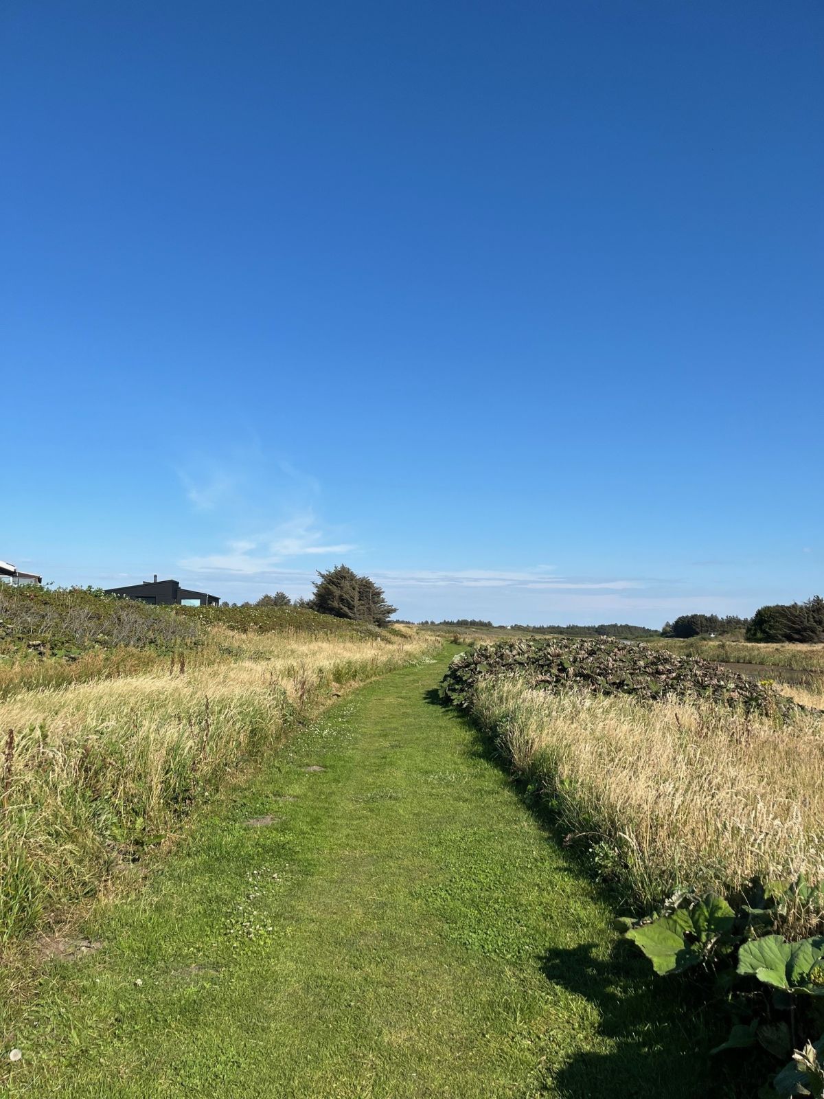 Omkring Nr. Lyngbysøerne hvor underlaget er græs.