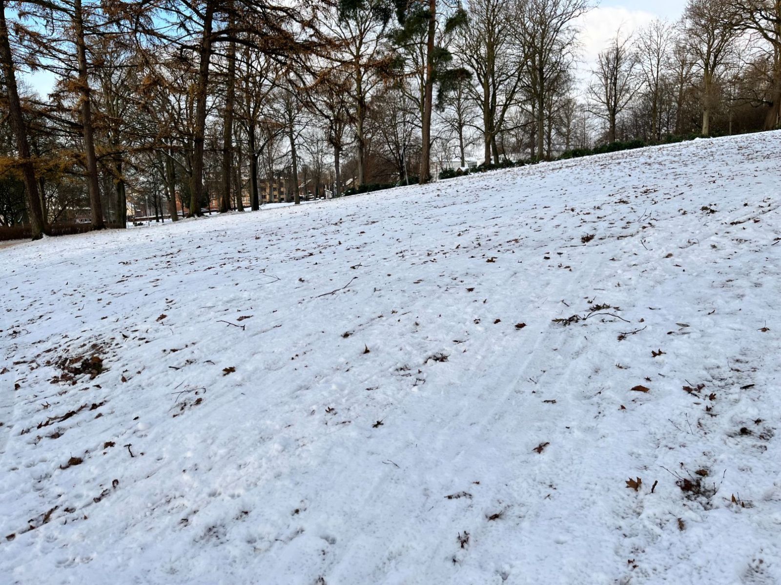 Billede af kælkebakken i Lunden med sne