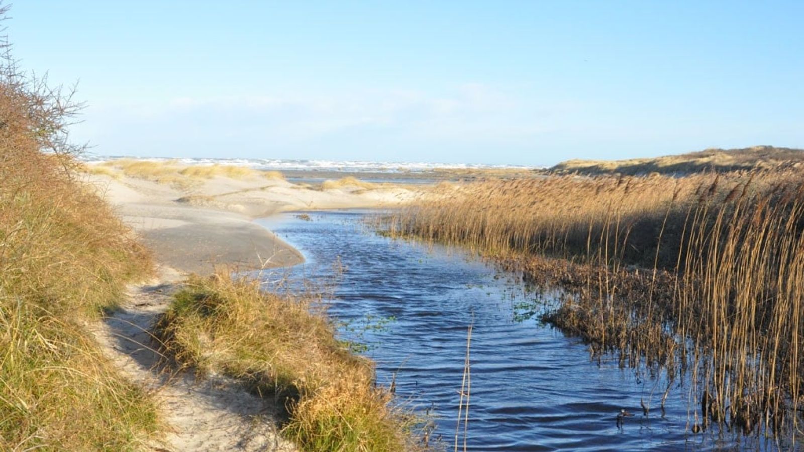 Flodbæk ved stranden. 