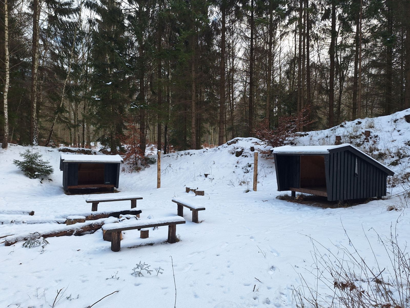 Billedet viser et sæt 2 m. høje pæle til opsætning af en hængekøje, mellem to sheltere. Indgangene til de to sheltere har en forskel i orientering på 90 grader og peger begge mod et lille bålsted med tre bænke om sig.