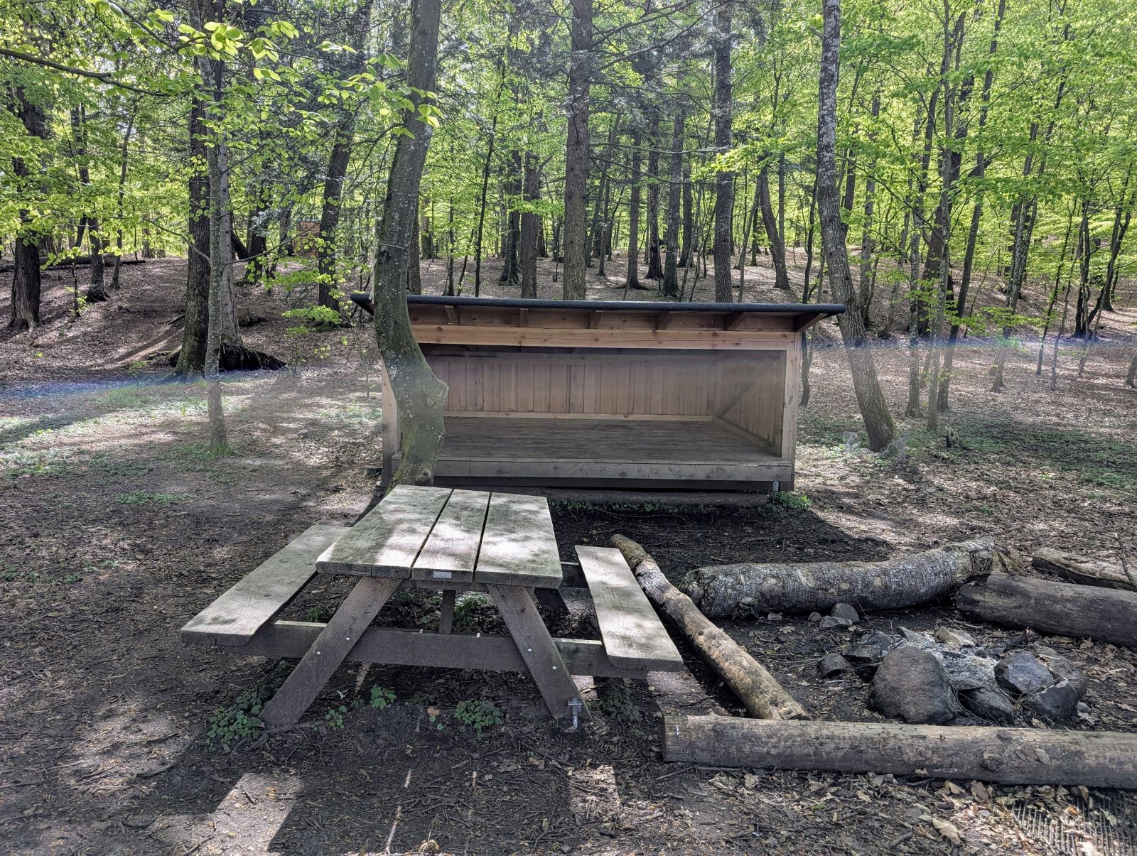 Shelters ved Julsø – miniature 7