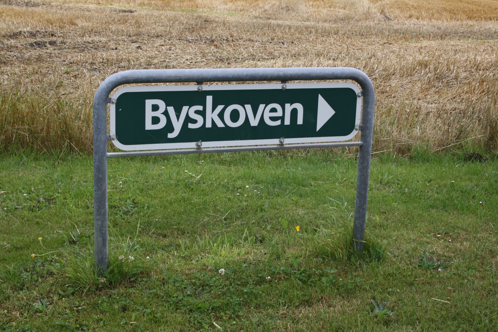 Byskov ruten kommer ud af skoven her.
