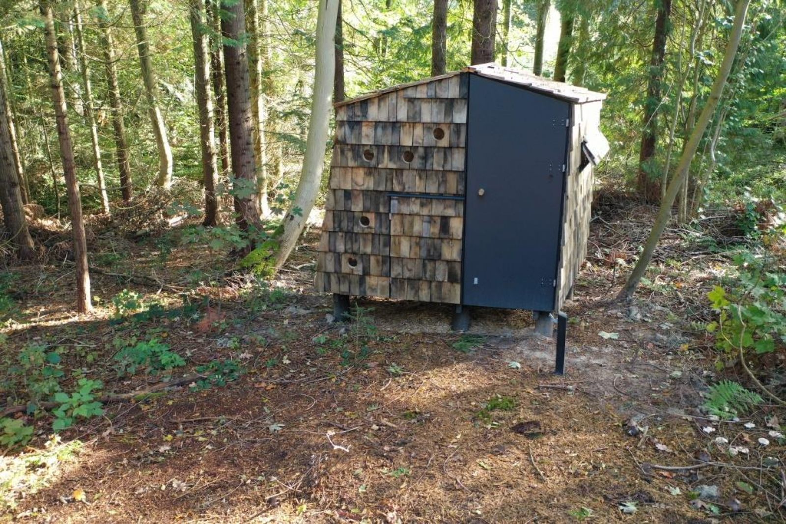 Staurby Skov Shelterplads – miniature 2