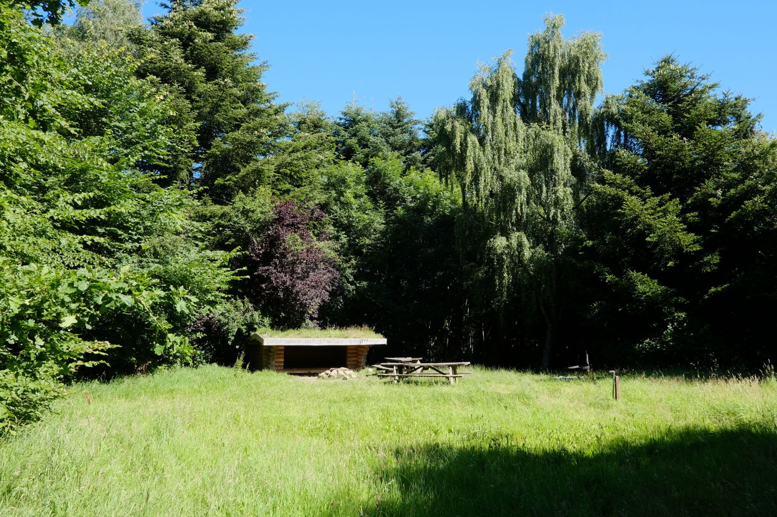 Sebberup Skov Shelter – miniature 3