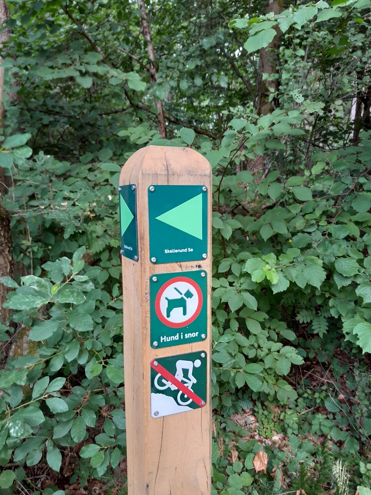 Typisk rutemarkering