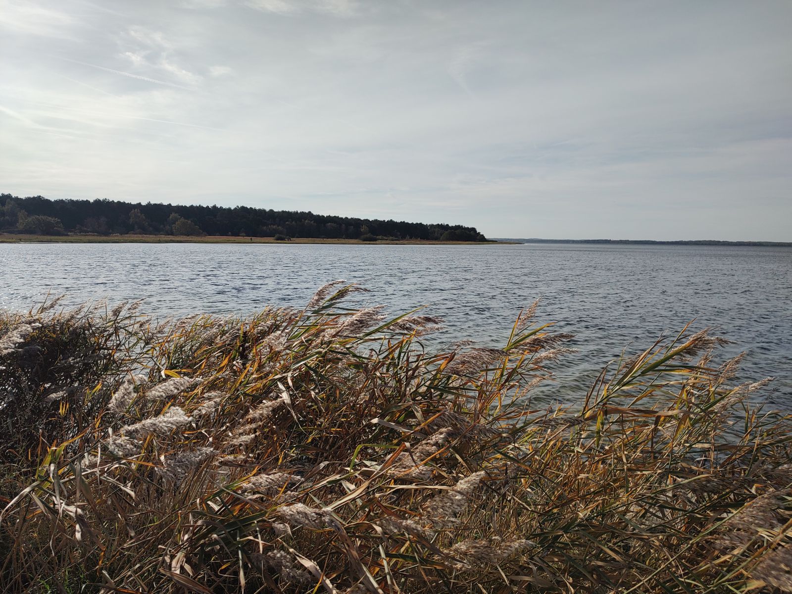Præstø Fjord og Feddet
