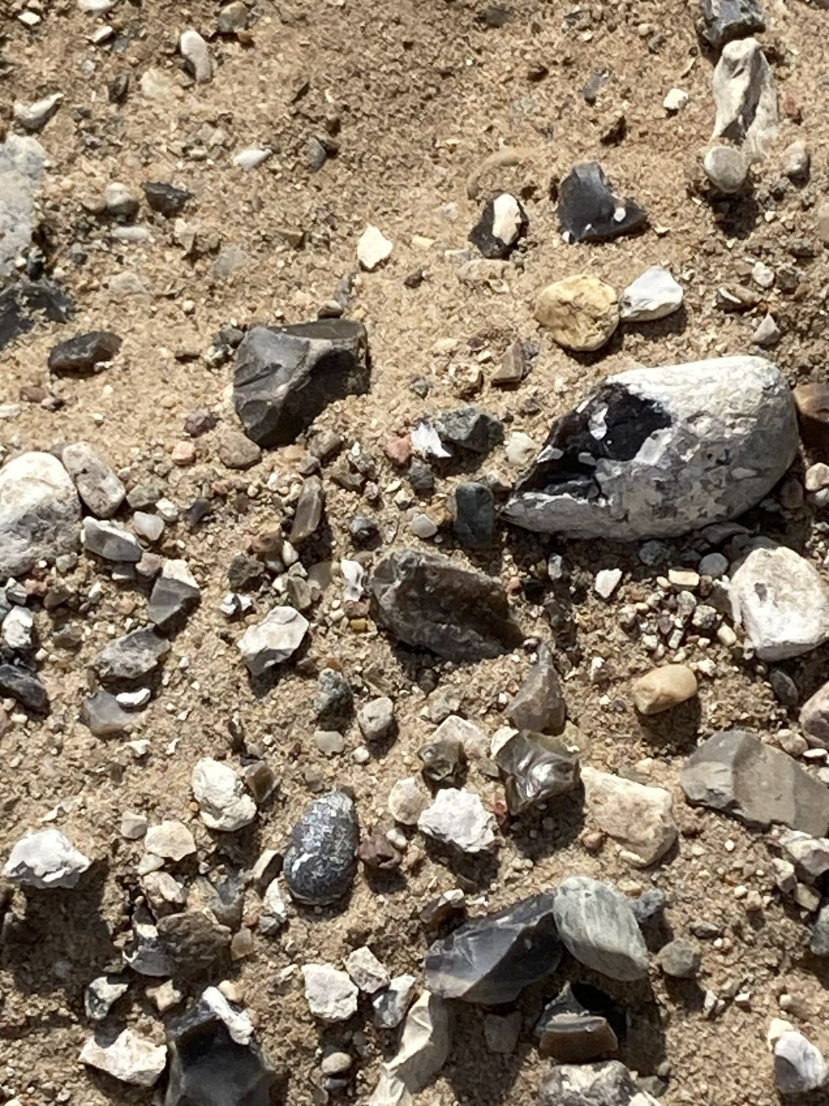 Småsten indeholdende flintesten på løs sandjord