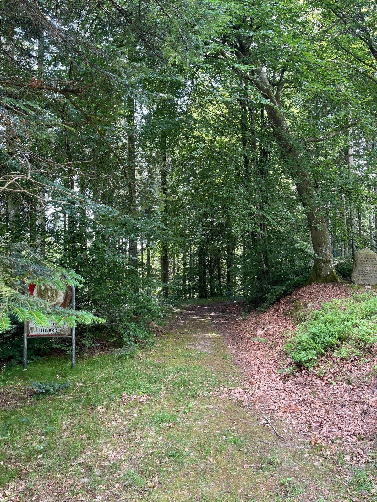 Fortsættelse af rute fra parkeringsplads, Tislum Bakker. 