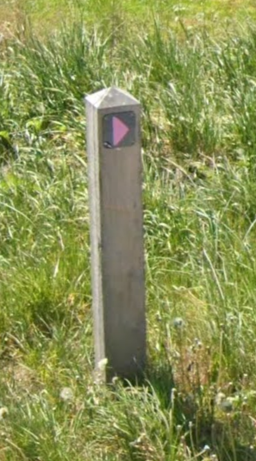 En vandrerutepæl med et markeringsskilt, som visen er pink pil pegende mod højre.