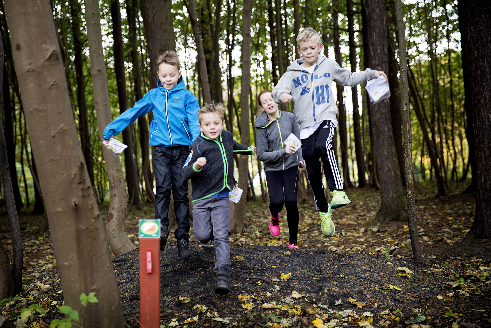 Billedet viser 4 personer der er i gang med orienteringsløb