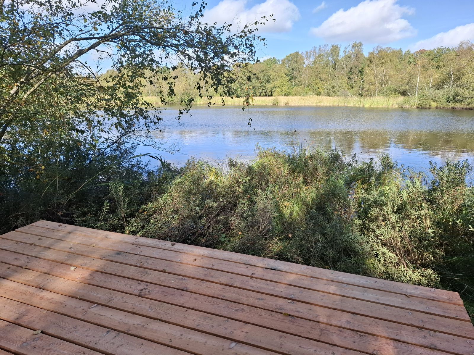 Udsigt til tørvesøen med Skjernås Udspring, med udsigtsplatform i forgrunden og søfladen i baggrunden