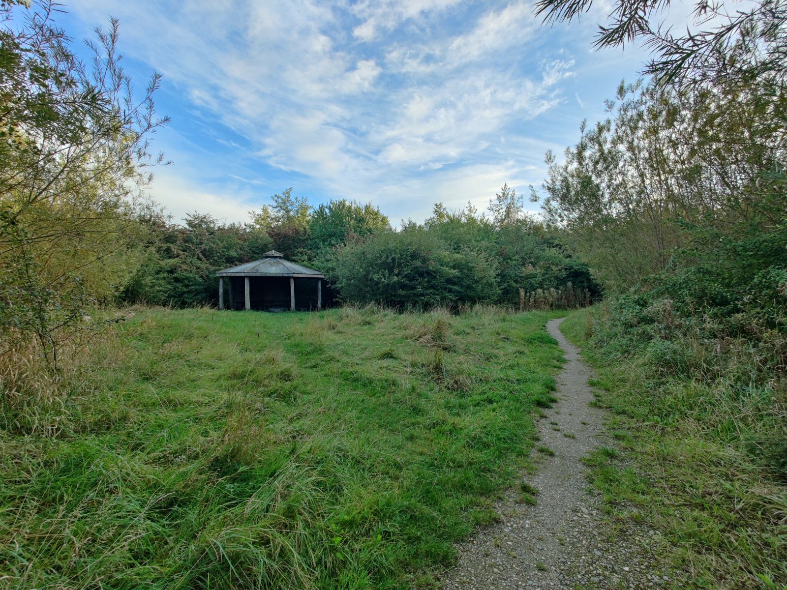 Bålhytte i Østerby Skov, Tranbjerg, shelter in Denmark